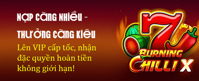 Tải App 123B Nhận Quà Lớn